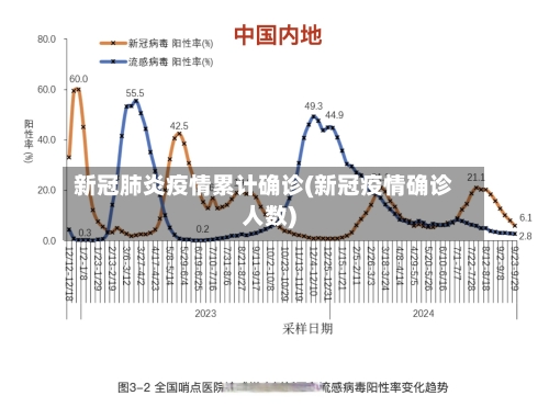 新冠肺炎疫情累计确诊(新冠疫情确诊人数)-第3张图片