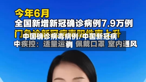中国确诊病毒病例/中国新冠病例-第2张图片