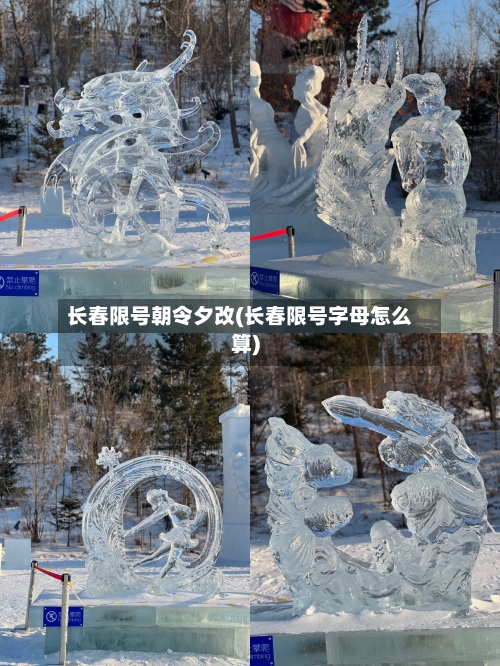 长春限号朝令夕改(长春限号字母怎么算)-第2张图片