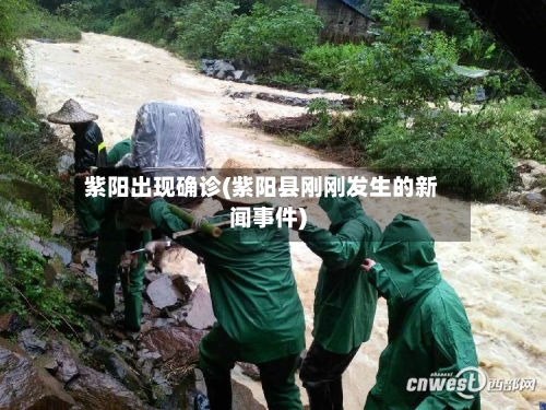 紫阳出现确诊(紫阳县刚刚发生的新闻事件)-第2张图片