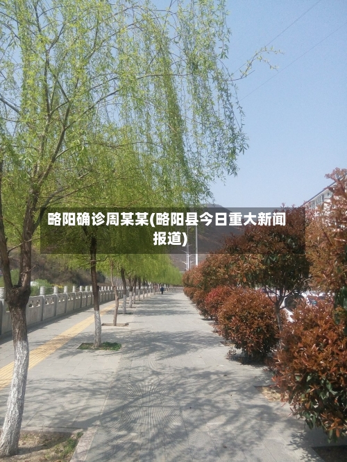 略阳确诊周某某(略阳县今日重大新闻报道)