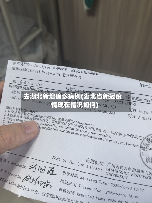 去湖北新增确诊病例(湖北省新冠疫情现在情况如何)