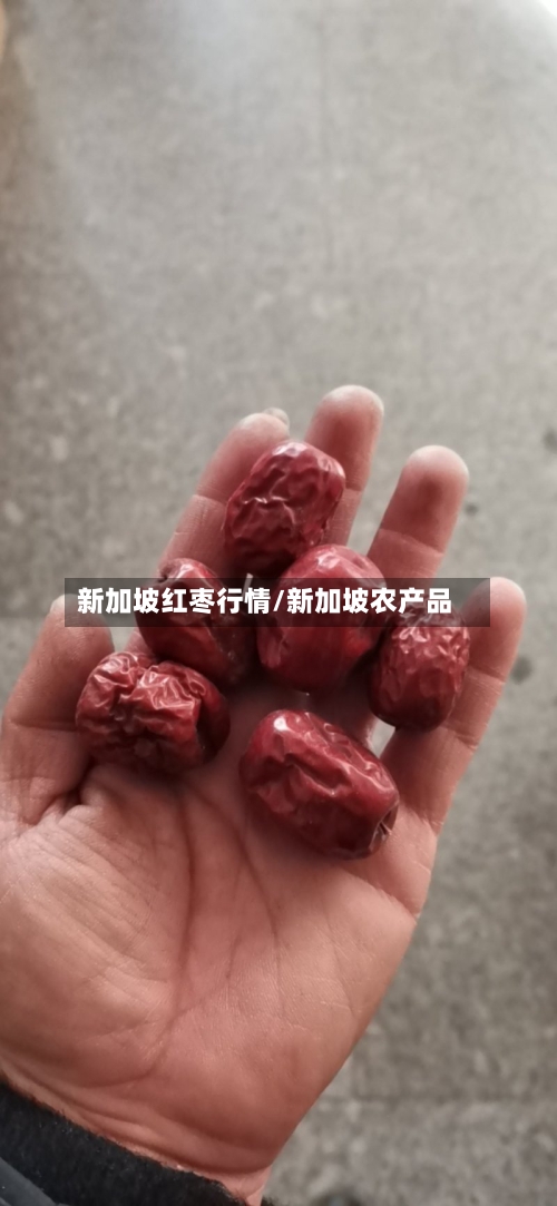 新加坡红枣行情/新加坡农产品-第2张图片