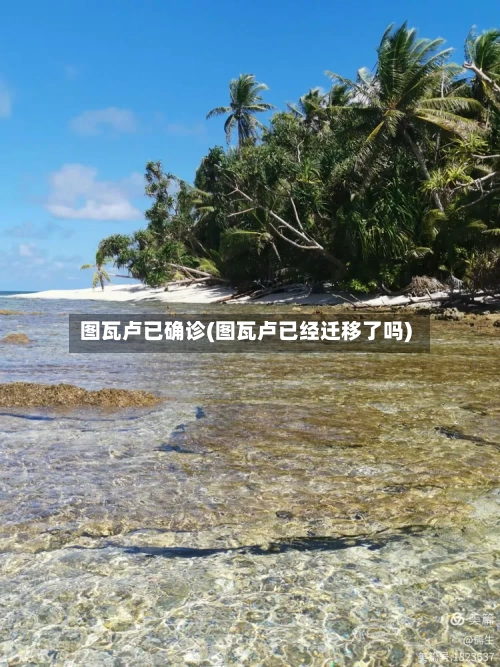 图瓦卢已确诊(图瓦卢已经迁移了吗)-第2张图片