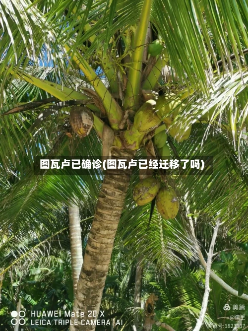 图瓦卢已确诊(图瓦卢已经迁移了吗)-第3张图片