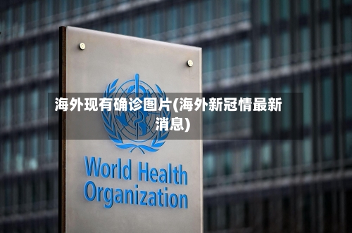 海外现有确诊图片(海外新冠情最新消息)-第2张图片