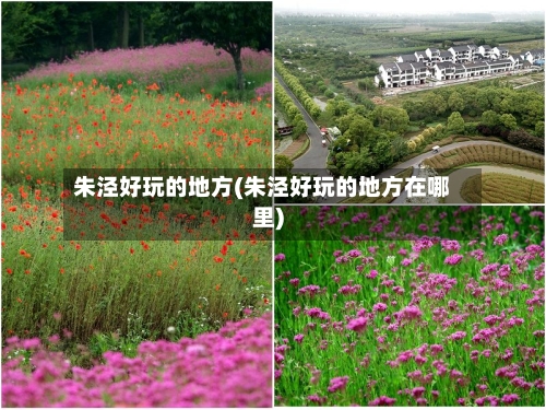 朱泾好玩的地方(朱泾好玩的地方在哪里)-第3张图片