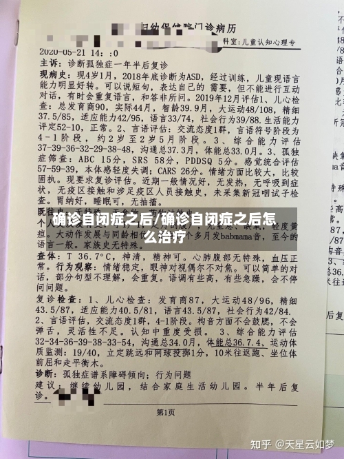 确诊自闭症之后/确诊自闭症之后怎么治疗