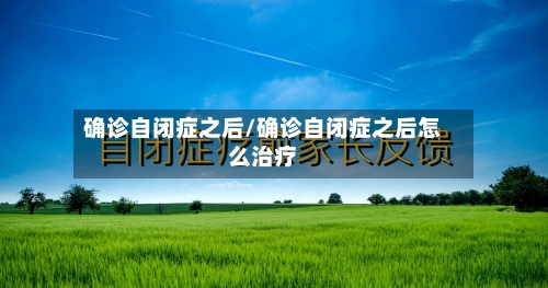 确诊自闭症之后/确诊自闭症之后怎么治疗-第2张图片