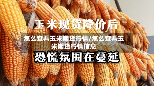 怎么查看玉米期货行情/怎么查看玉米期货行情信息