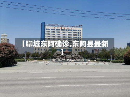 【聊城东阿确诊,东阿县最新】-第2张图片
