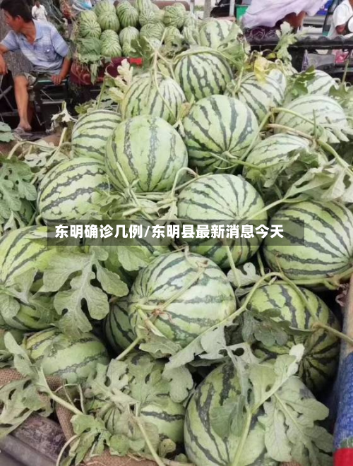 东明确诊几例/东明县最新消息今天-第2张图片