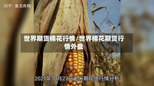 世界期货棉花行情/世界棉花期货行情外盘-第3张图片