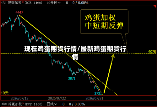 现在鸡蛋期货行情/最新鸡蛋期货行情