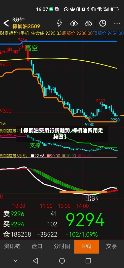 【棕榈油费用行情趋势,棕榈油费用走势图】