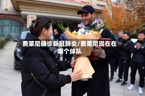 费莱尼确诊新冠肺炎/费莱尼现在在哪个球队
