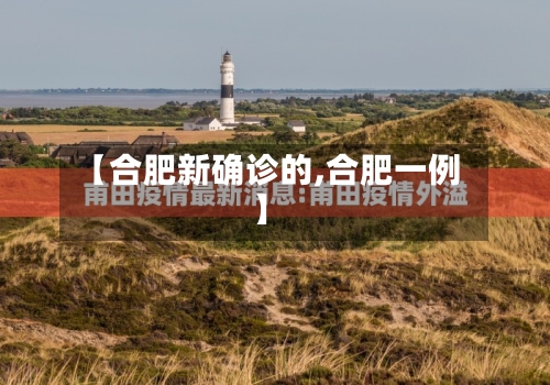 【合肥新确诊的,合肥一例】-第3张图片