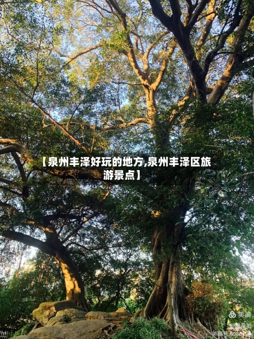 【泉州丰泽好玩的地方,泉州丰泽区旅游景点】-第2张图片
