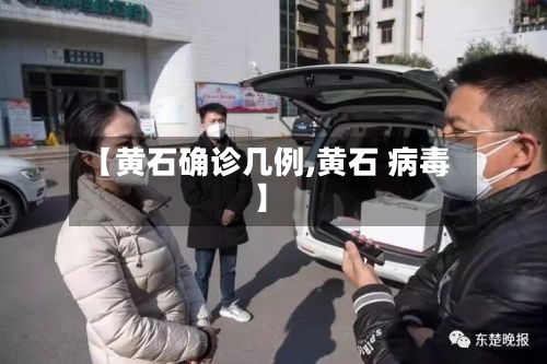 【黄石确诊几例,黄石 病毒】-第3张图片