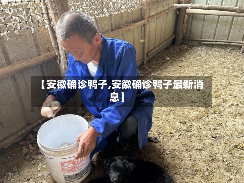 【安徽确诊鸭子,安徽确诊鸭子最新消息】-第3张图片