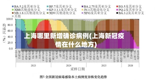 上海哪里新增确诊病例(上海新冠疫情在什么地方)-第3张图片