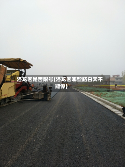 洛龙区是否限号(洛龙区哪些路白天不能停)