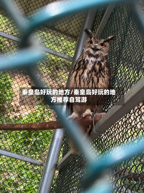 秦皇岛好玩的地方/秦皇岛好玩的地方推荐自驾游-第2张图片