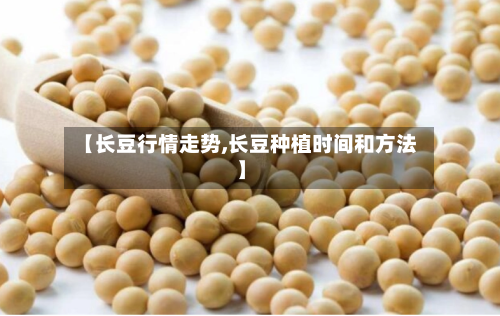 【长豆行情走势,长豆种植时间和方法】
