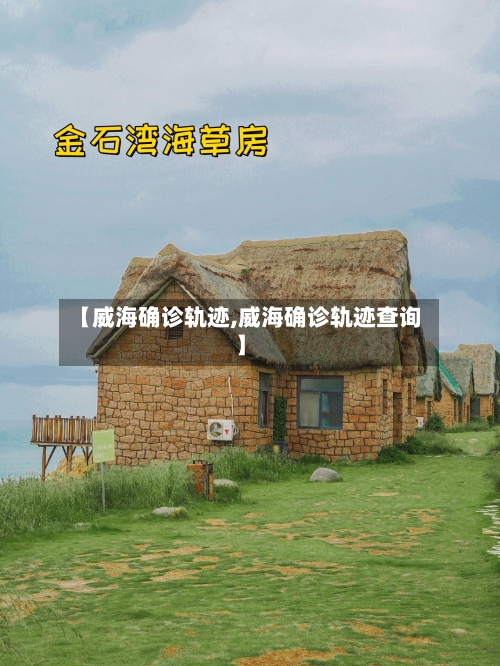 【威海确诊轨迹,威海确诊轨迹查询】