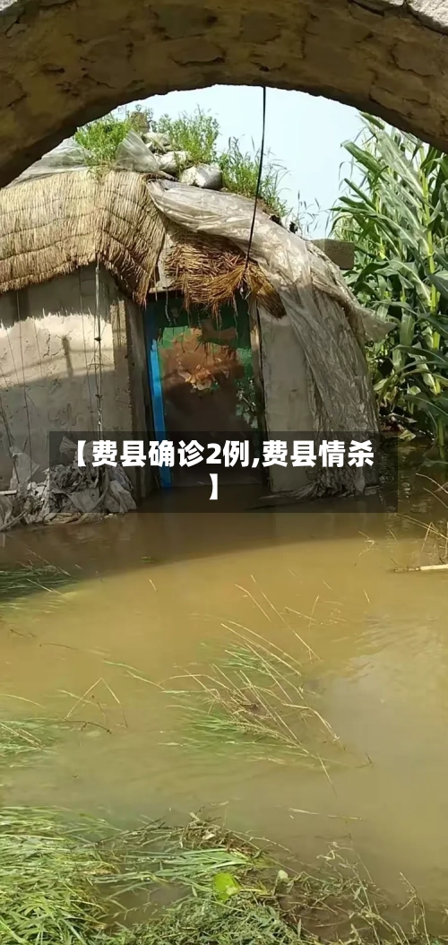 【费县确诊2例,费县情杀】-第3张图片