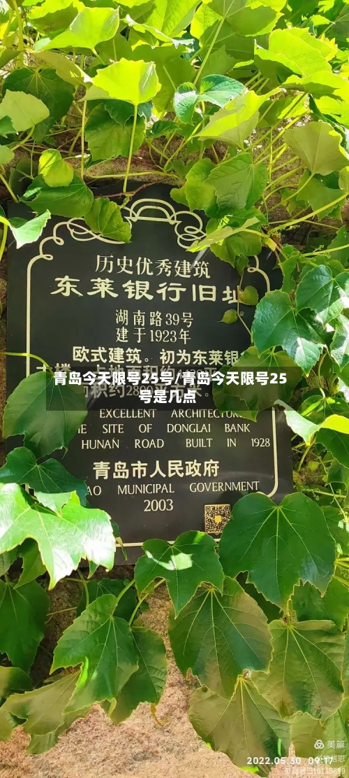 青岛今天限号25号/青岛今天限号25号是几点-第2张图片
