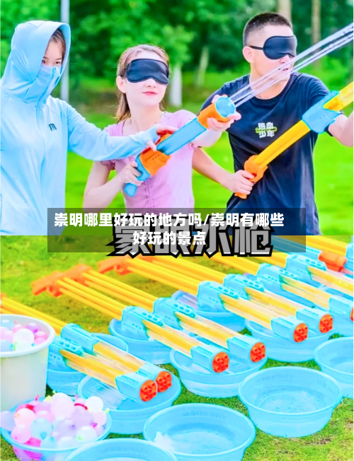 崇明哪里好玩的地方吗/崇明有哪些好玩的景点-第3张图片