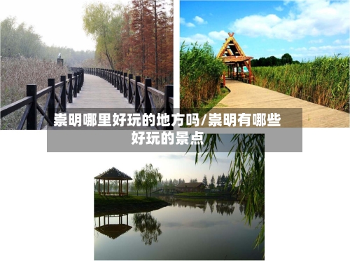 崇明哪里好玩的地方吗/崇明有哪些好玩的景点