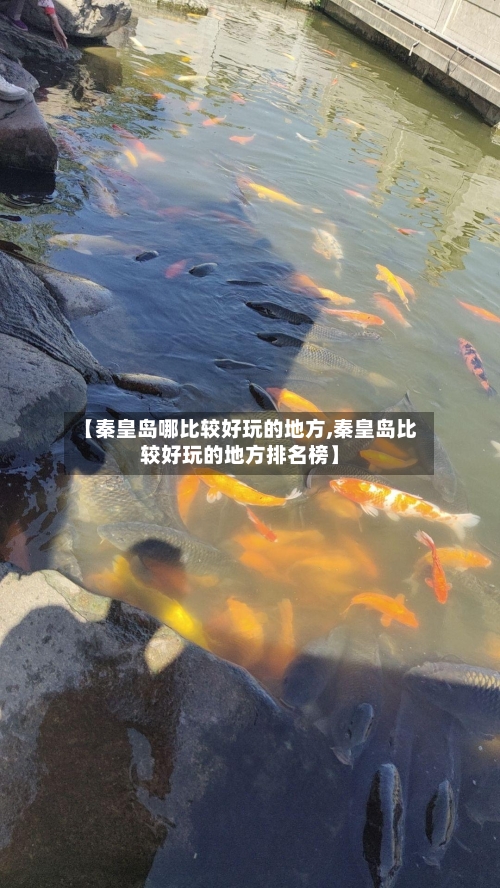 【秦皇岛哪比较好玩的地方,秦皇岛比较好玩的地方排名榜】