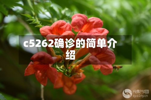 c5262确诊的简单介绍-第2张图片