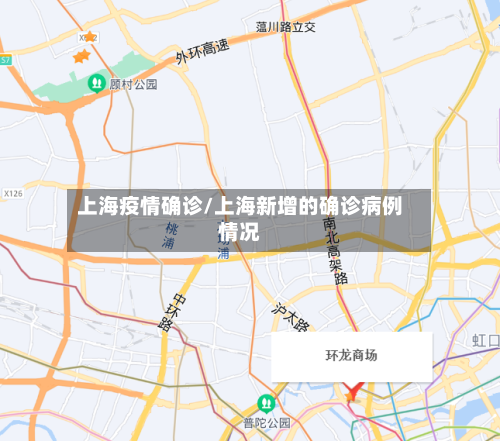 上海疫情确诊/上海新增的确诊病例情况-第2张图片