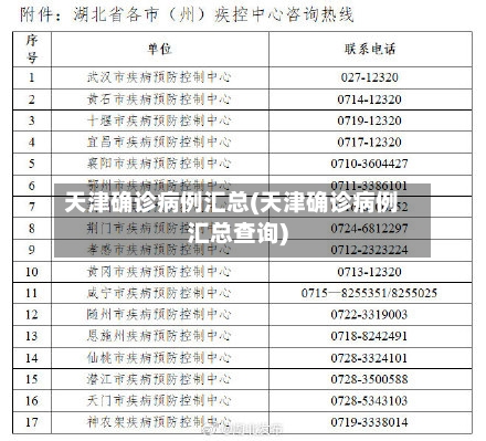 天津确诊病例汇总(天津确诊病例汇总查询)-第2张图片