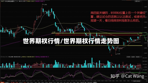 世界期权行情/世界期权行情走势图-第2张图片