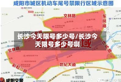 长沙今天限号多少号/长沙今天限号多少号啊-第2张图片