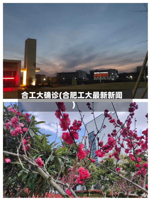 合工大确诊(合肥工大最新新闻)