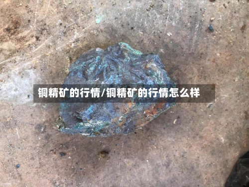 铜精矿的行情/铜精矿的行情怎么样