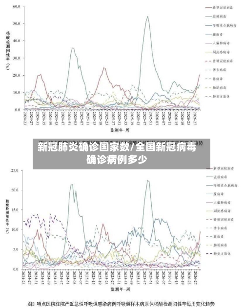 新冠肺炎确诊国家数/全国新冠病毒确诊病例多少