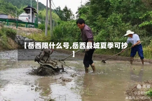 【岳西限什么号,岳西县城夏季可抄】-第2张图片