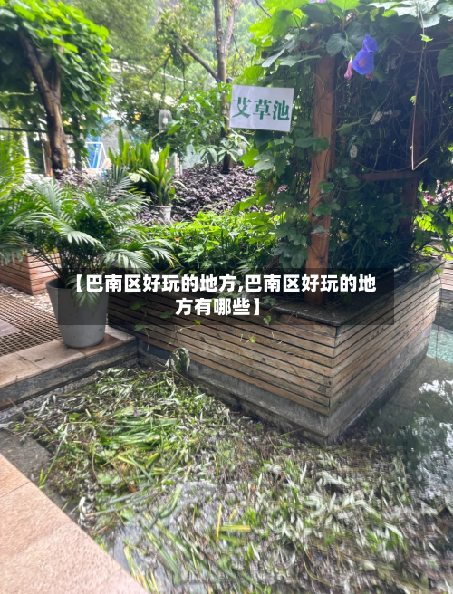 【巴南区好玩的地方,巴南区好玩的地方有哪些】-第2张图片