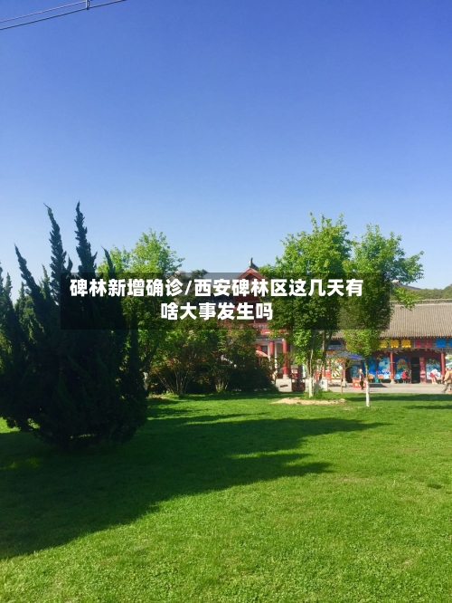 碑林新增确诊/西安碑林区这几天有啥大事发生吗