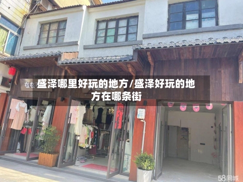 盛泽哪里好玩的地方/盛泽好玩的地方在哪条街