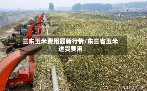 三东玉米费用最新行情/东三省玉米进货费用