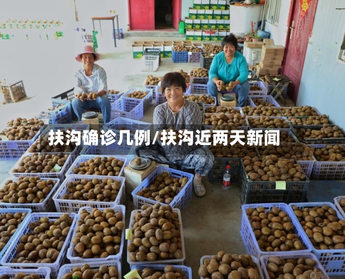 扶沟确诊几例/扶沟近两天新闻