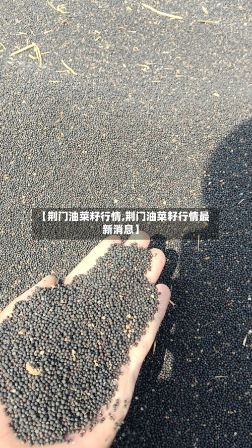 【荆门油菜籽行情,荆门油菜籽行情最新消息】-第2张图片