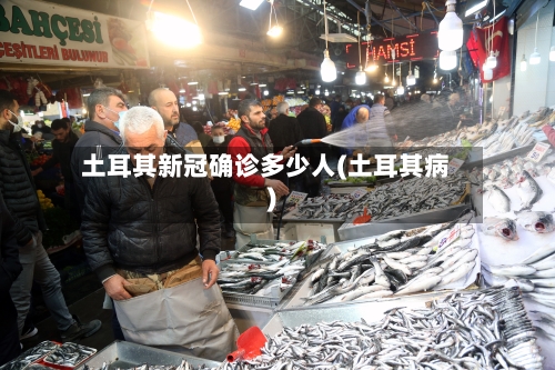 土耳其新冠确诊多少人(土耳其病)